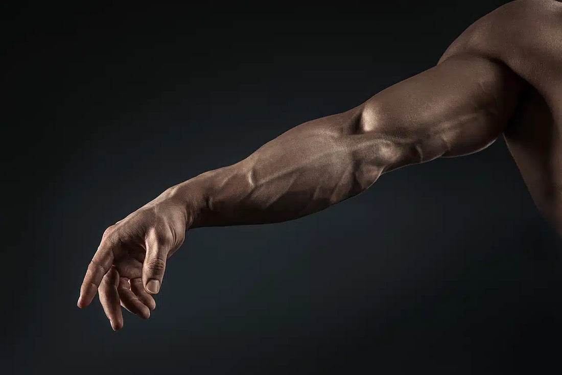 Grip Power: The Hidden Strength Behind Sports, Health, and Everyday Performance